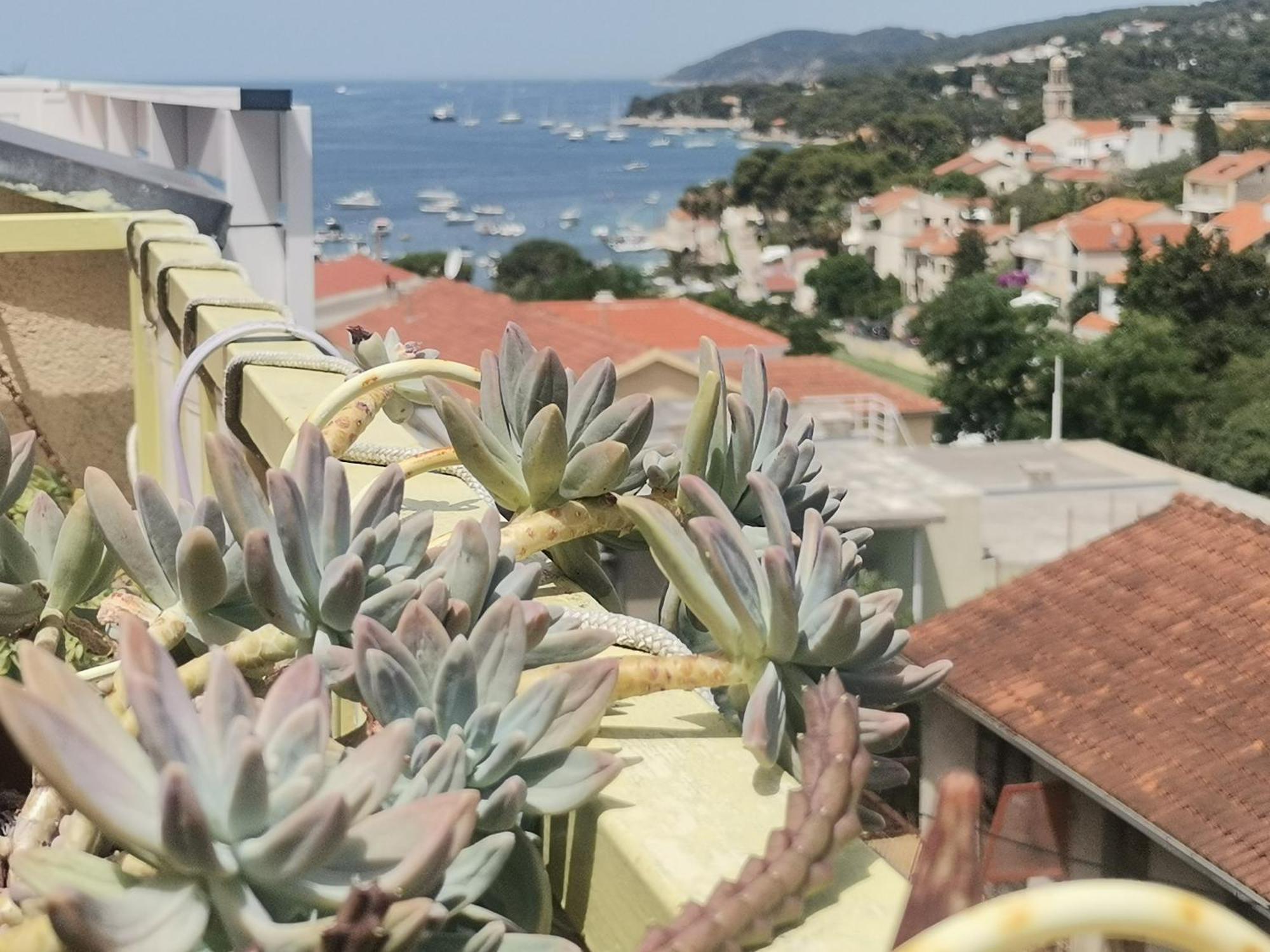 Apartments Green & Orange Hvar Town Exteriér fotografie
